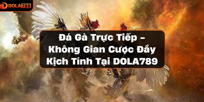 Đá Gà Trực Tiếp - Không Gian Cược Đầy Kịch Tính Tại DOLA789