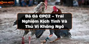 Đá Gà CPC2 - Trải Nghiệm Kịch Tính Và Thú Vị Không Ngờ