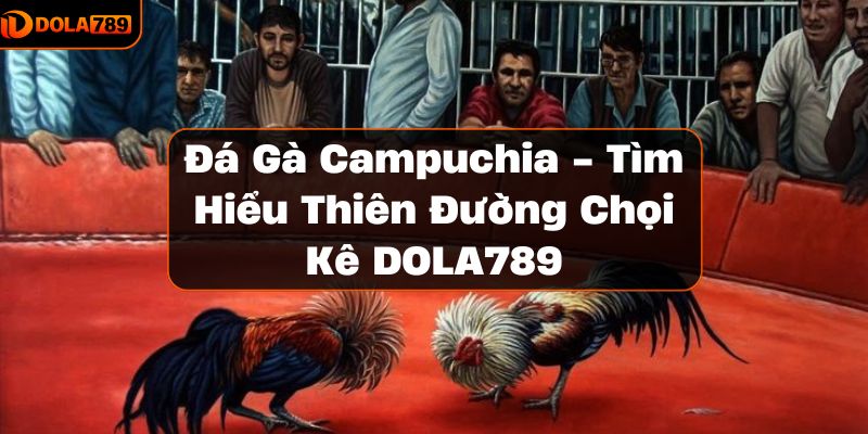 Đá Gà Campuchia - Tìm Hiểu Thiên Đường Chọi Kê DOLA789